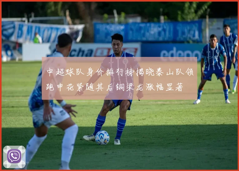 中超球队身价排行榜揭晓泰山队领跑申花紧随其后铜梁龙涨幅显著