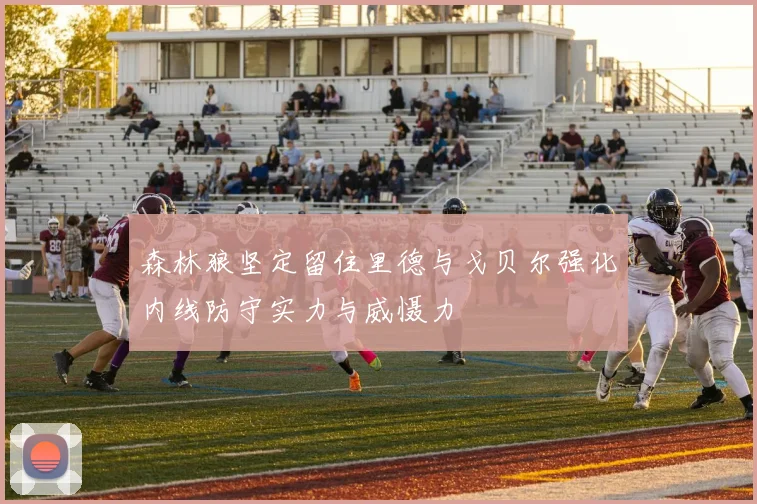 森林狼坚定留住里德与戈贝尔强化内线防守实力与威慑力